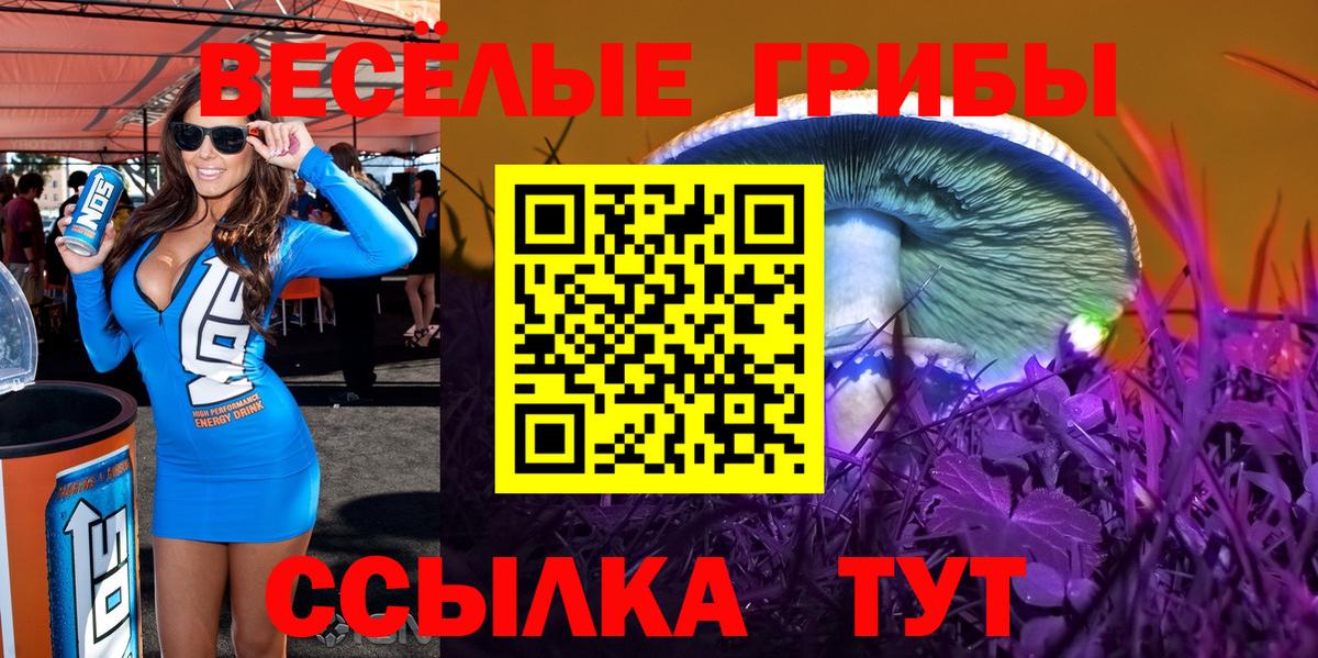 Псилоцибиновые грибы мицелий Кузнецк